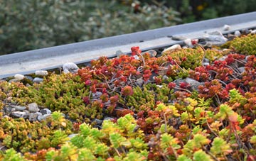 the cost of Assater green roof installation