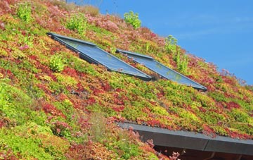 Assater living roof systems