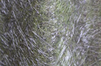 Assater fibreglass roof work